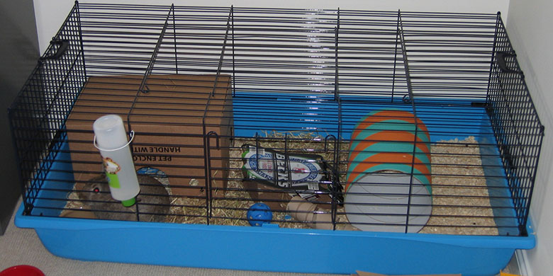 Indoor bunny cage Indoor bunny cage