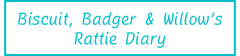 Biscuit, Badger & Willows Rattie Diary