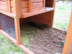 Fern's handiwork