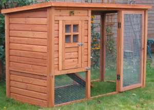 The outdoor bunny run Fern's new outdoor home