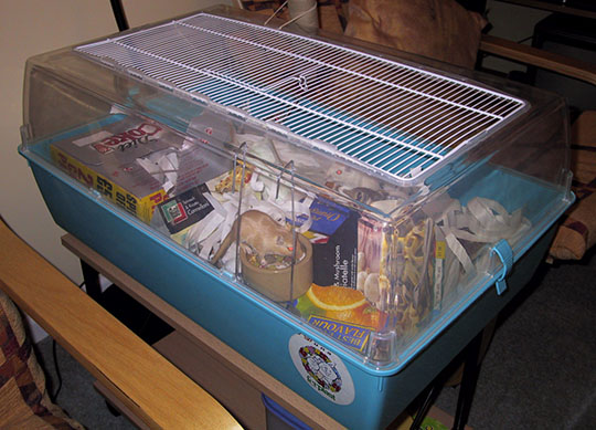 Ferplast Duna cage, where our gerbils live The girls home
