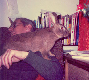 My first rabbit, Thumper sitting on my dad My first rabbit, Thumper sitting on my dad