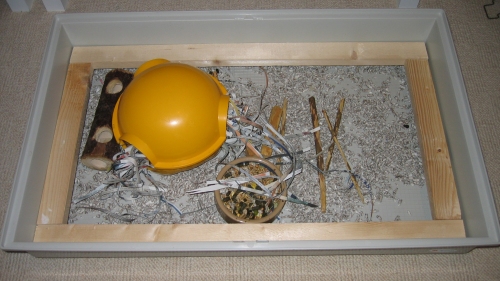 The Furplast Furret Plus base with its new wooden protector The wooden frame Derek made for the girls cage