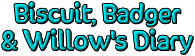 Biscuit, Badger & Willow's Diary