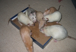 Daisy with her family in happier times