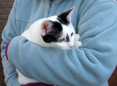 Our kitten Inkie, being held in Lindsay's arms as she goes outside for the first time