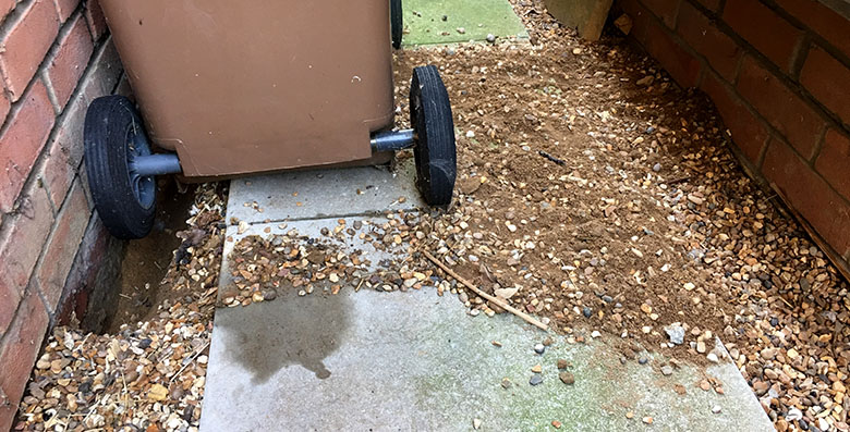 The mess our bunny made digging underneath our rubbish bins The mess our bunny made digging underneath our rubbish bins