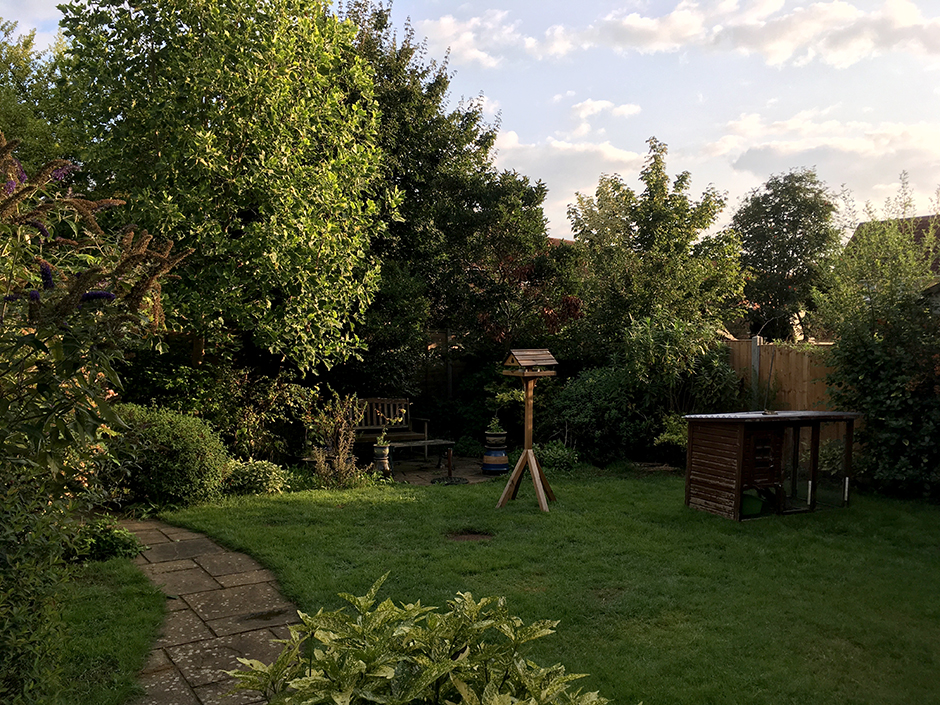 Our green garden all recovered after the summer drought Our green garden all recovered after the summer drought