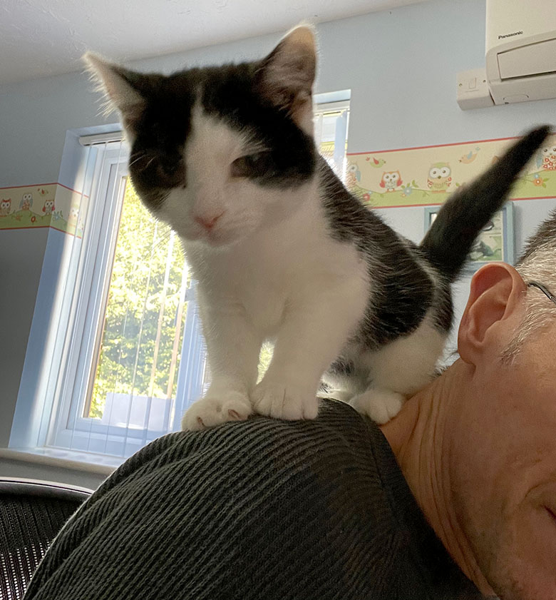 Our little Kitten, Rocket standing on Derek's shoulders I don't think Derek got much work done