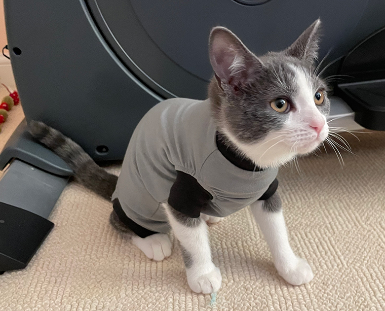 Pebble in her jump suit Pebble in her jump suit