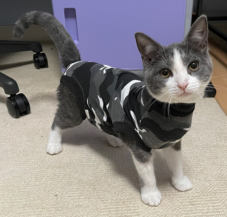 Pebble ready for action in her new jump suit Pebble ready for action in her new jump suit