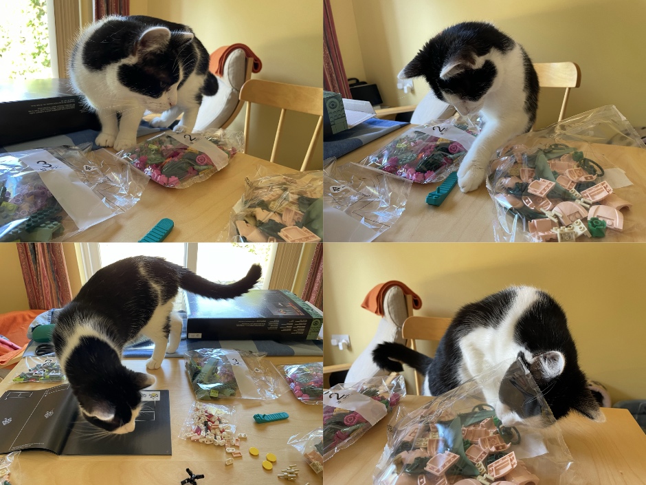 Rocket wanted to make sure all the pieces were present